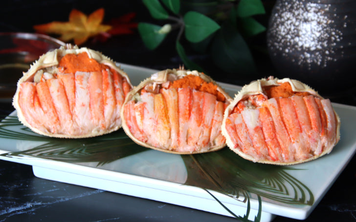 ゲストロテナガコガネ メス　オス　2匹セット 北海道産オオズワイガニ（オス）甲羅盛 3個セット – かに楽 公式通販