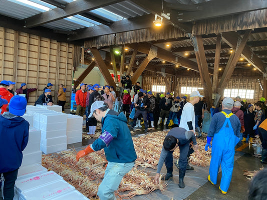 越前がに解禁！いよいよ『冬の王者』を迎え入れる季節です！