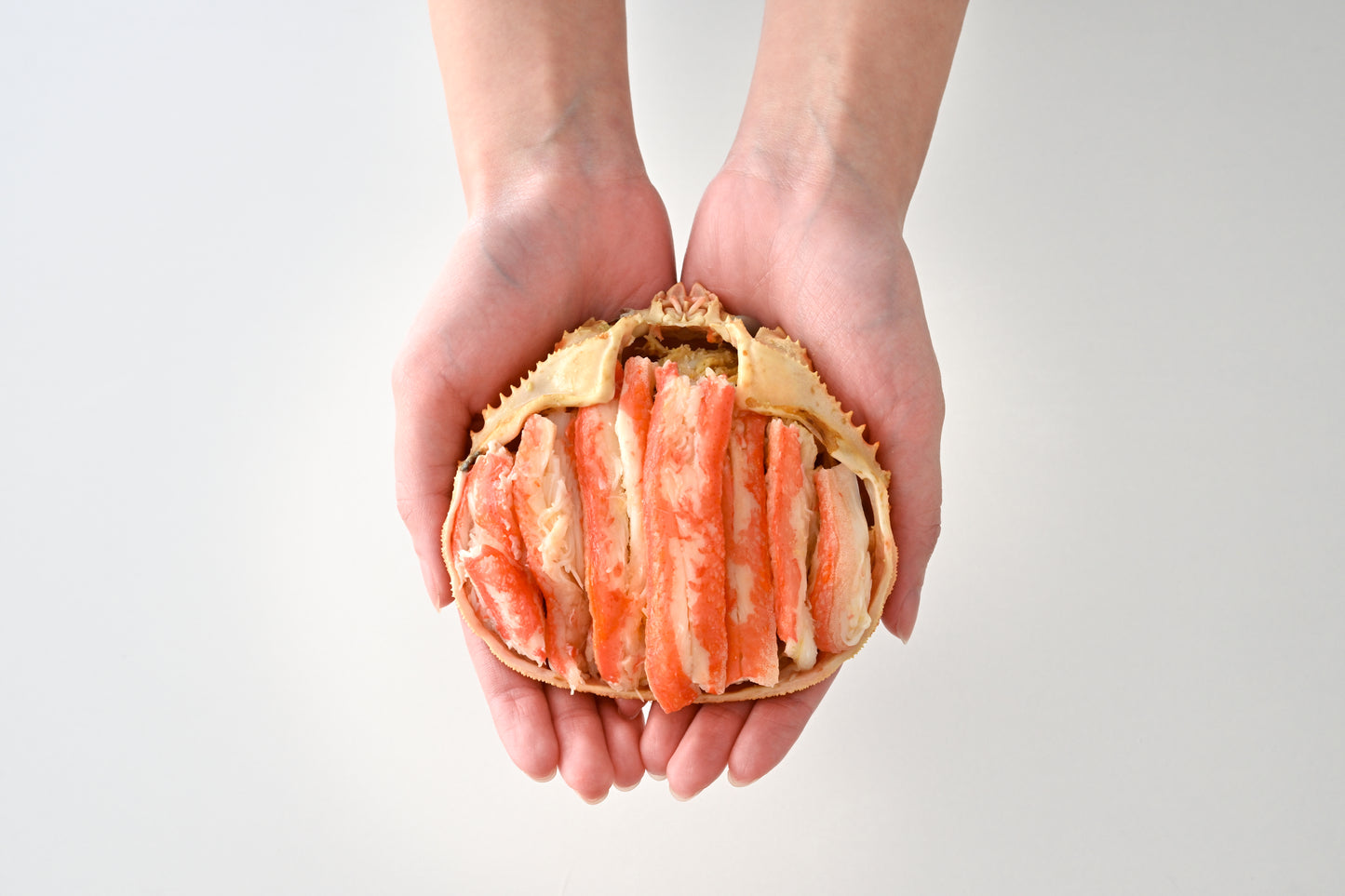 日本海産ズワイガニ（オス） 甲羅盛　2個セット