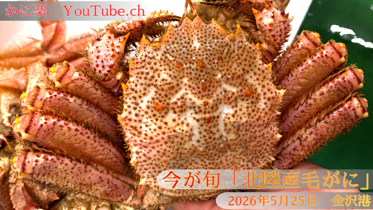 動画を読み込む: 