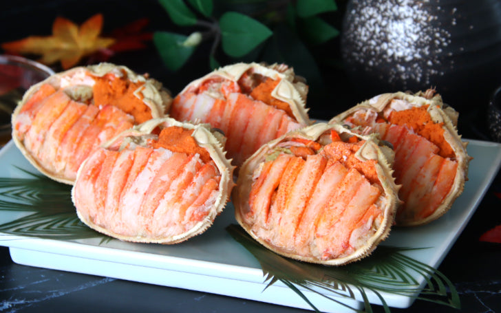 オオズワイ（メス） – かに楽 公式通販