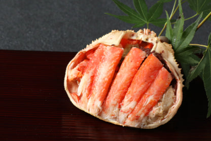 日本海産ズワイガニ（メス）甲羅盛