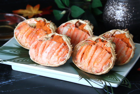 日本海産ズワイガニ（メス）甲羅盛 　5個セット