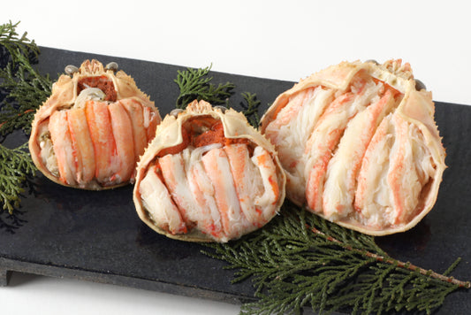 日本海産ズワイガニ甲羅盛 夫婦セット (オス：１個／メス：２個）合計３個